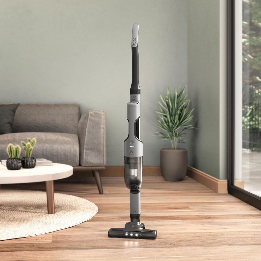 Electrolux Ergorapido ERG018 Gris, foto 15